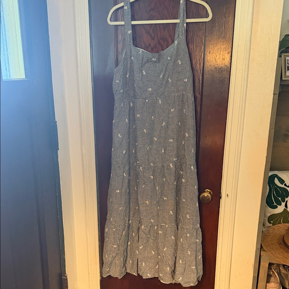 Madewell Blue and White Gingham Maxi Dress with Embroidered Daisies